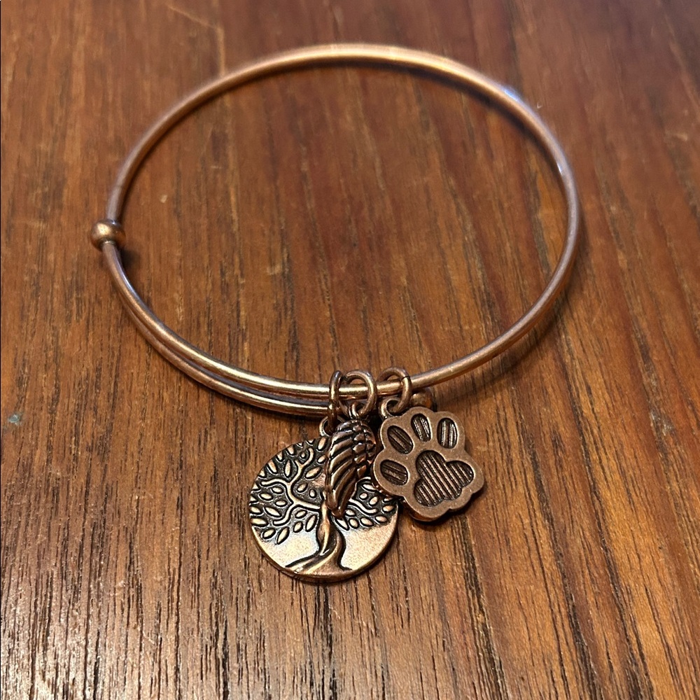 Alex and Ani Copper Charm Bangle Bracelet for pets.